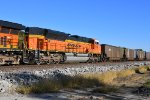 BNSF 9091 Roster shot